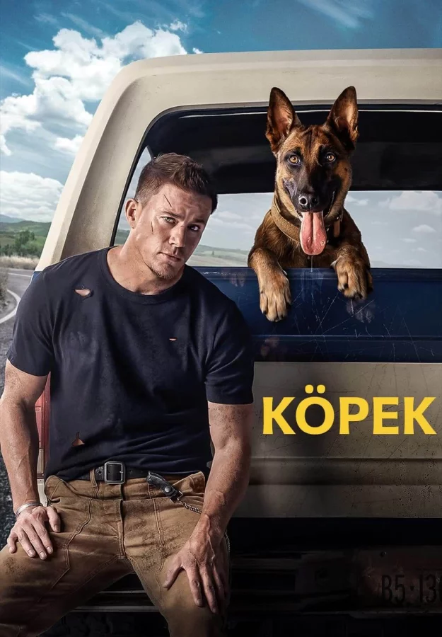 Köpek